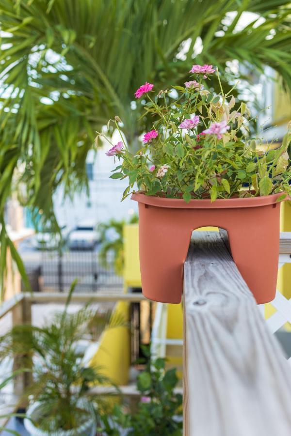 Andalucia Guest House San Juan Exterior photo