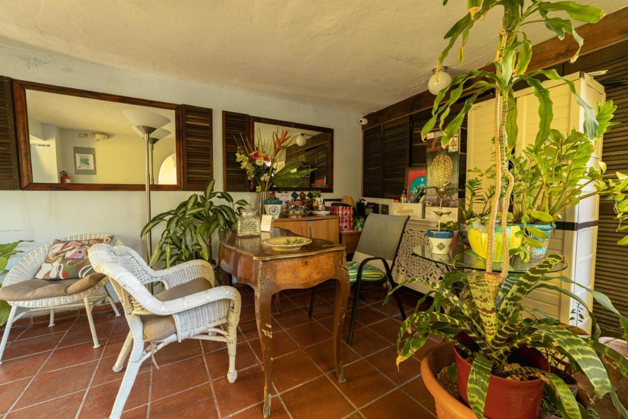 Andalucia Guest House San Juan Exterior photo