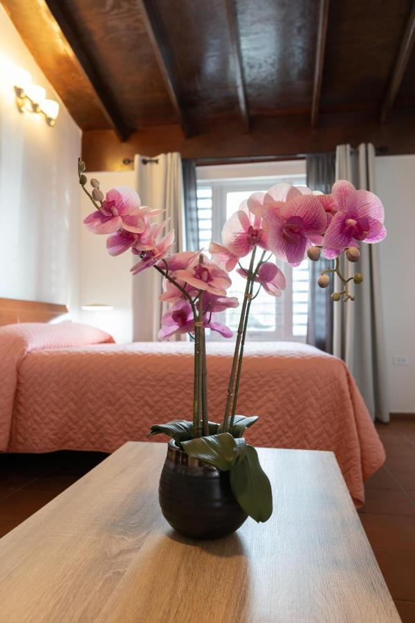 Andalucia Guest House San Juan Exterior photo