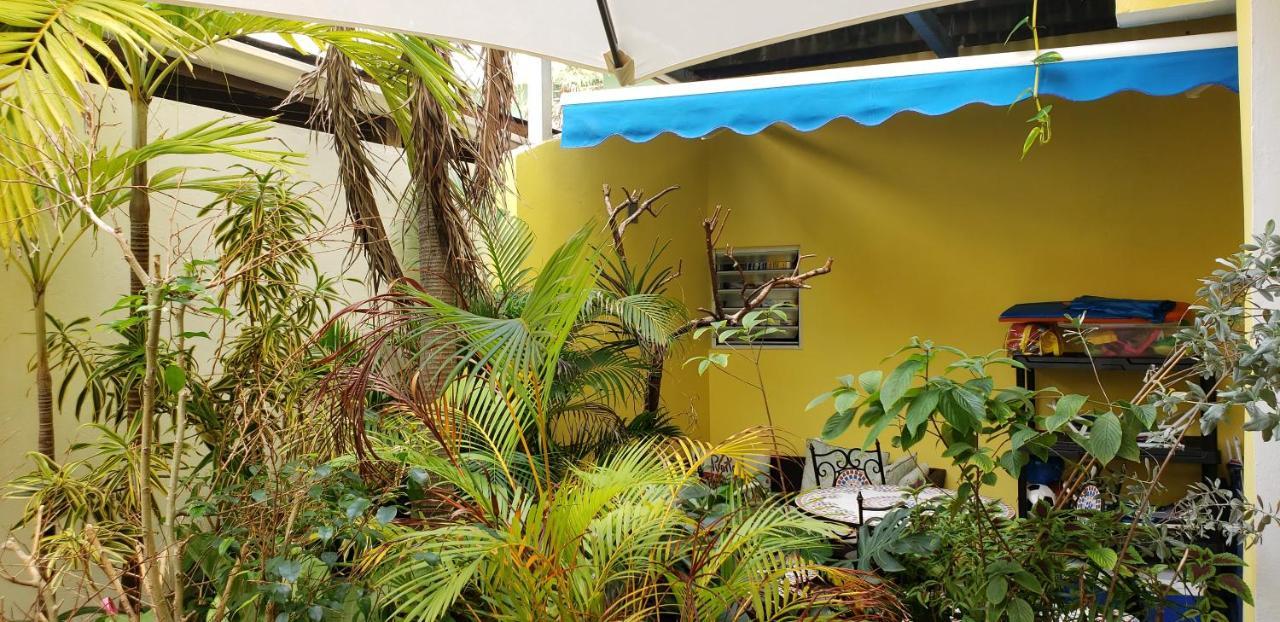 Andalucia Guest House San Juan Exterior photo
