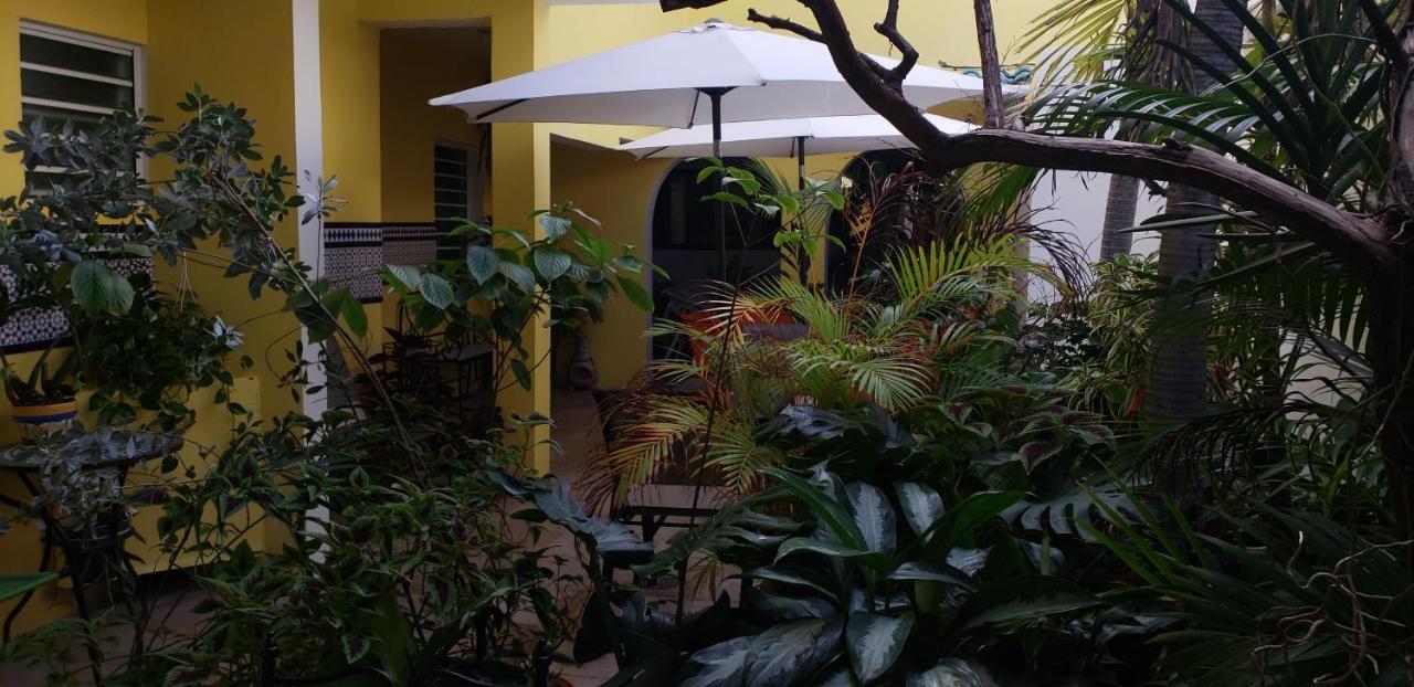 Andalucia Guest House San Juan Exterior photo